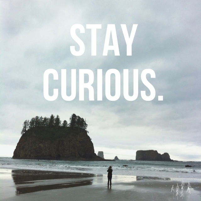 Stay-Curious