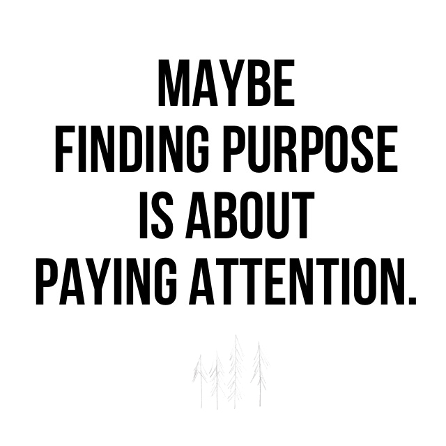 how to find why, how to find your purpose