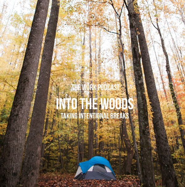 into-the-woods